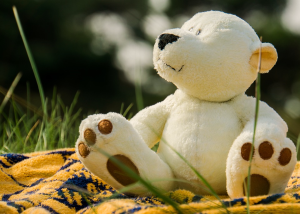 Image of a teddy bear in some grass