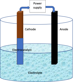Electrochemical cell showing cathode, anode and electrocatalyst